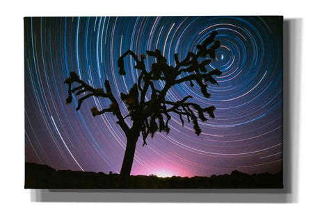 'Joshua Tree North Star Proc' by Thomas Haney, Giclee Canvas Wall Art