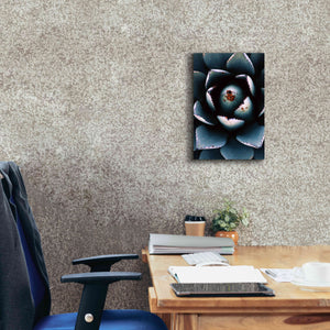 'Ladybugs Agave' by Thomas Haney, Giclee Canvas Wall Art,12 x 18