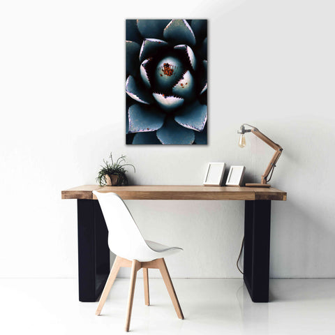 Image of 'Ladybugs Agave' by Thomas Haney, Giclee Canvas Wall Art,26 x 40