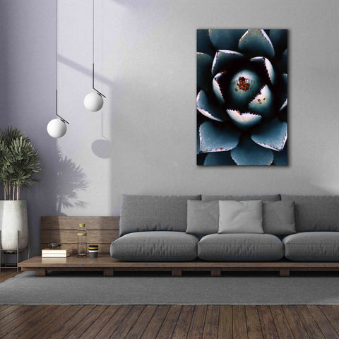 Image of 'Ladybugs Agave' by Thomas Haney, Giclee Canvas Wall Art,40 x 60