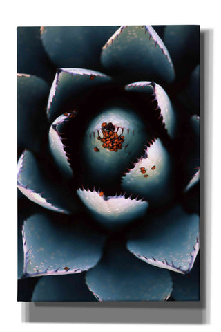 Image of 'Ladybugs Agave' by Thomas Haney, Giclee Canvas Wall Art