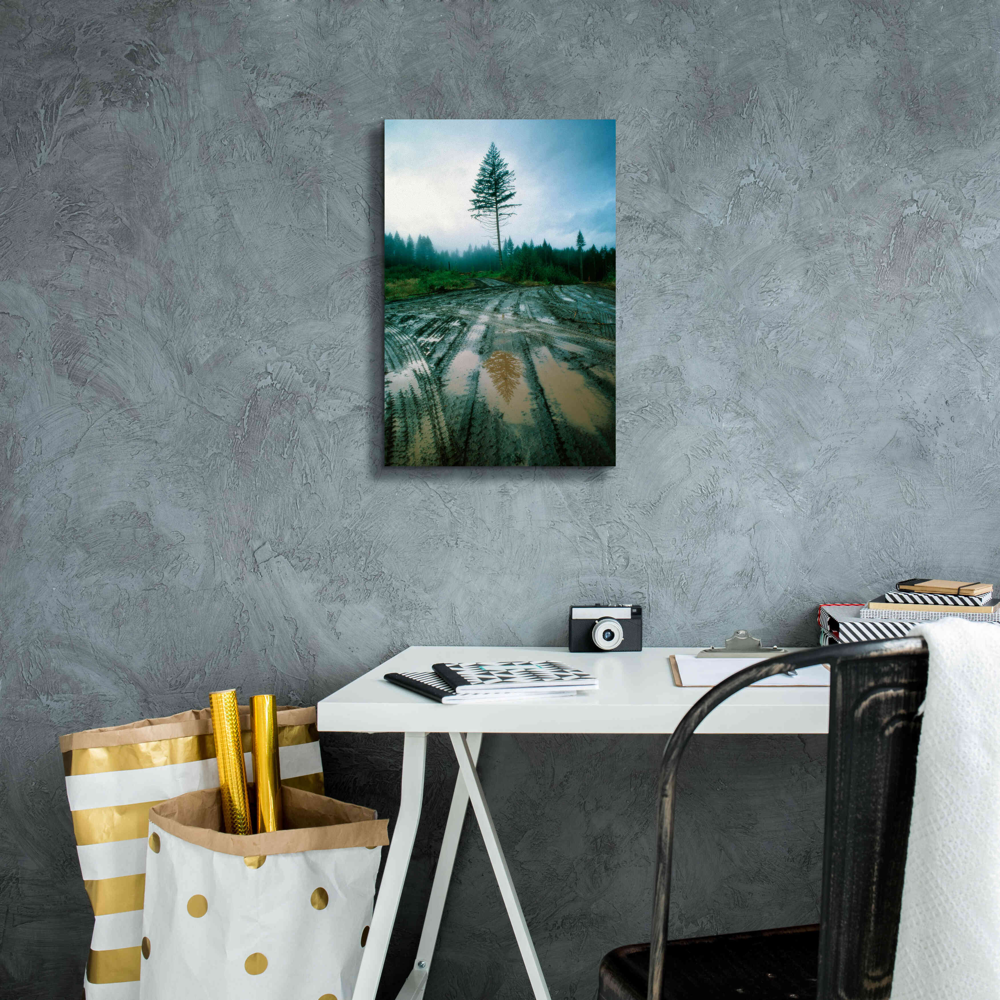 'Lonefir' by Thomas Haney, Giclee Canvas Wall Art,12 x 18