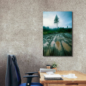 'Lonefir' by Thomas Haney, Giclee Canvas Wall Art,26 x 40