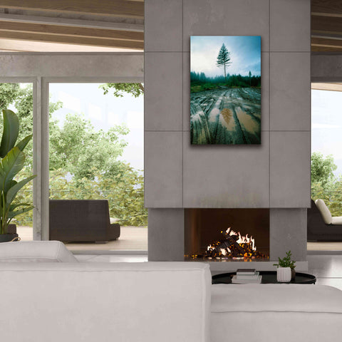 Image of 'Lonefir' by Thomas Haney, Giclee Canvas Wall Art,26 x 40
