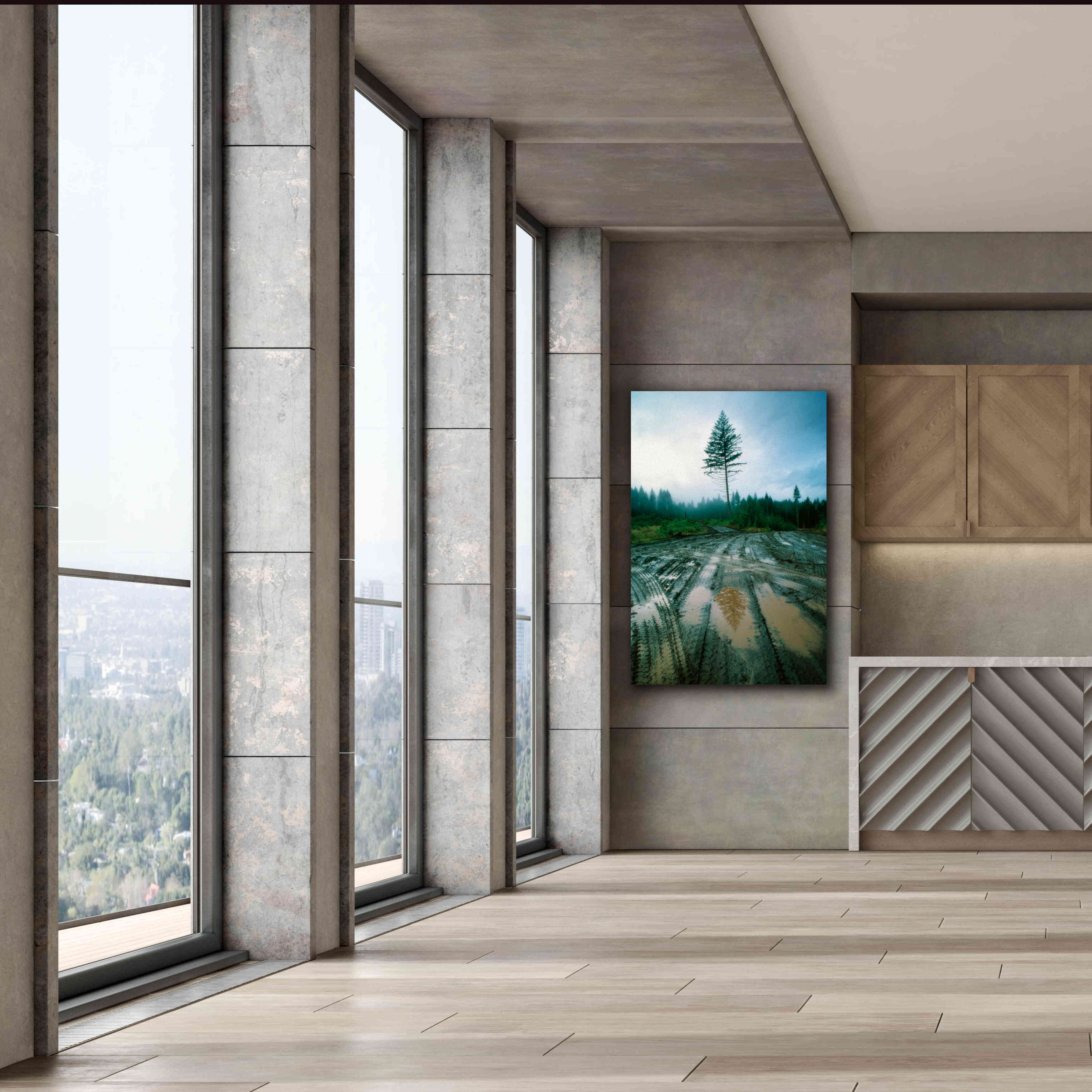 'Lonefir' by Thomas Haney, Giclee Canvas Wall Art,40 x 60