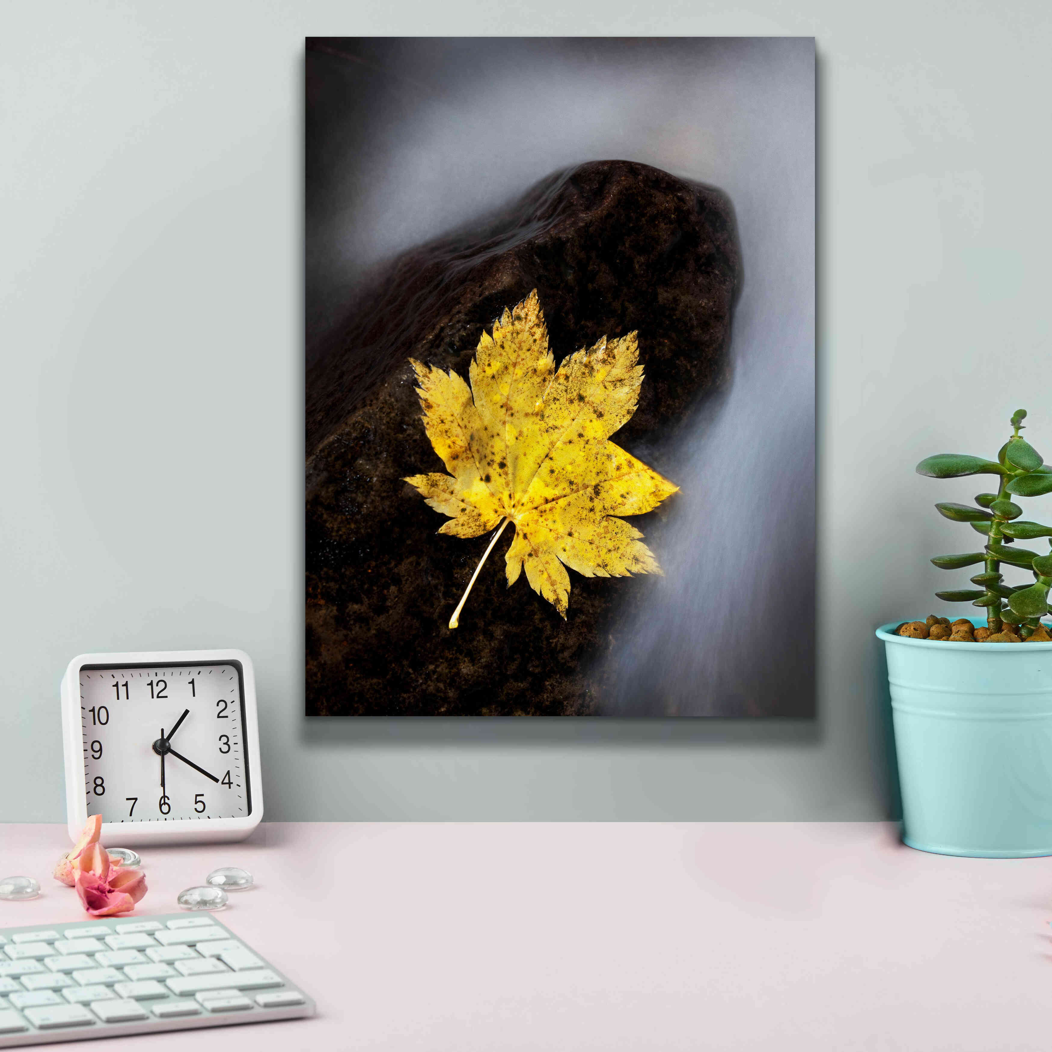 'Maple Leaf Stranded' by Thomas Haney, Giclee Canvas Wall Art,12 x 16