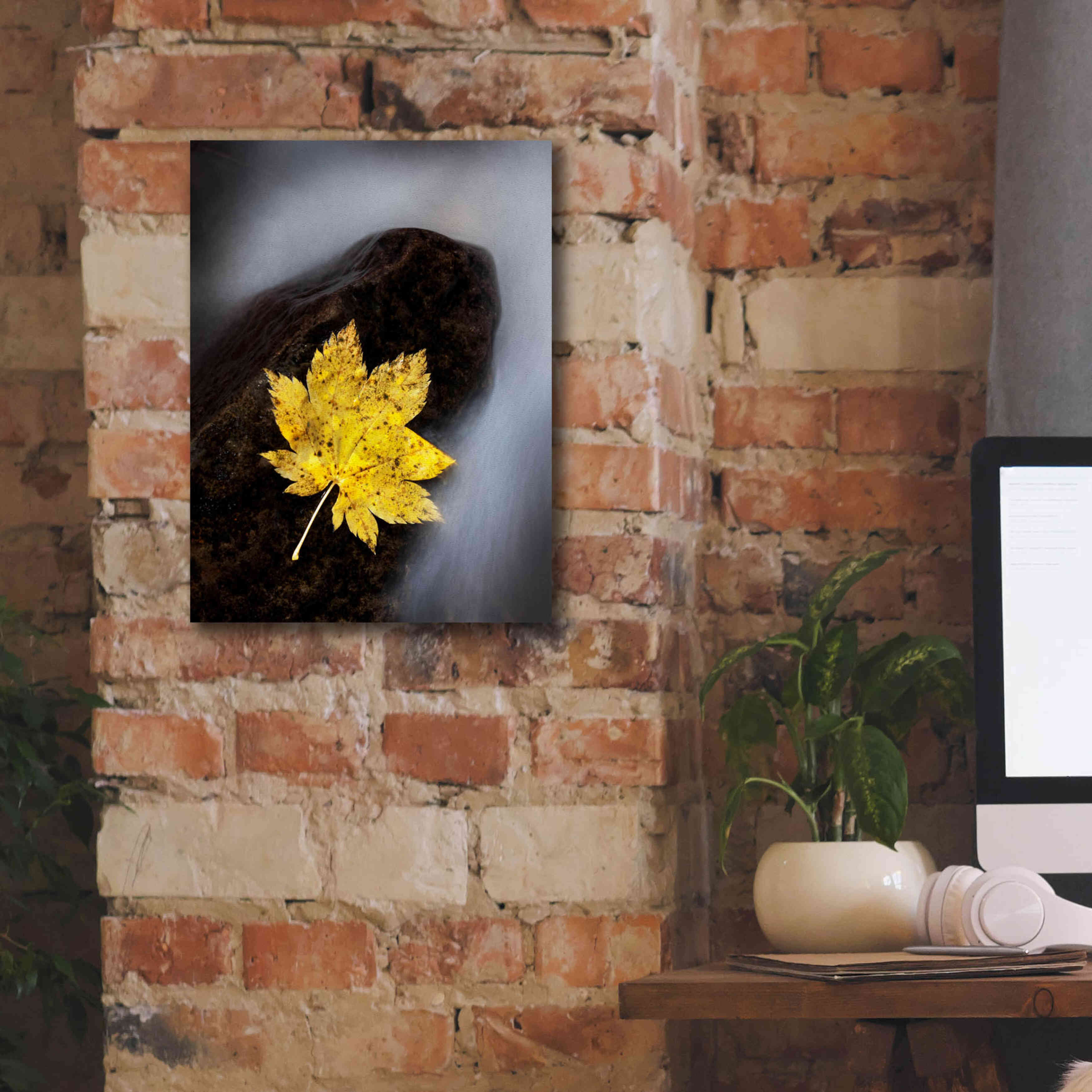 'Maple Leaf Stranded' by Thomas Haney, Giclee Canvas Wall Art,12 x 16