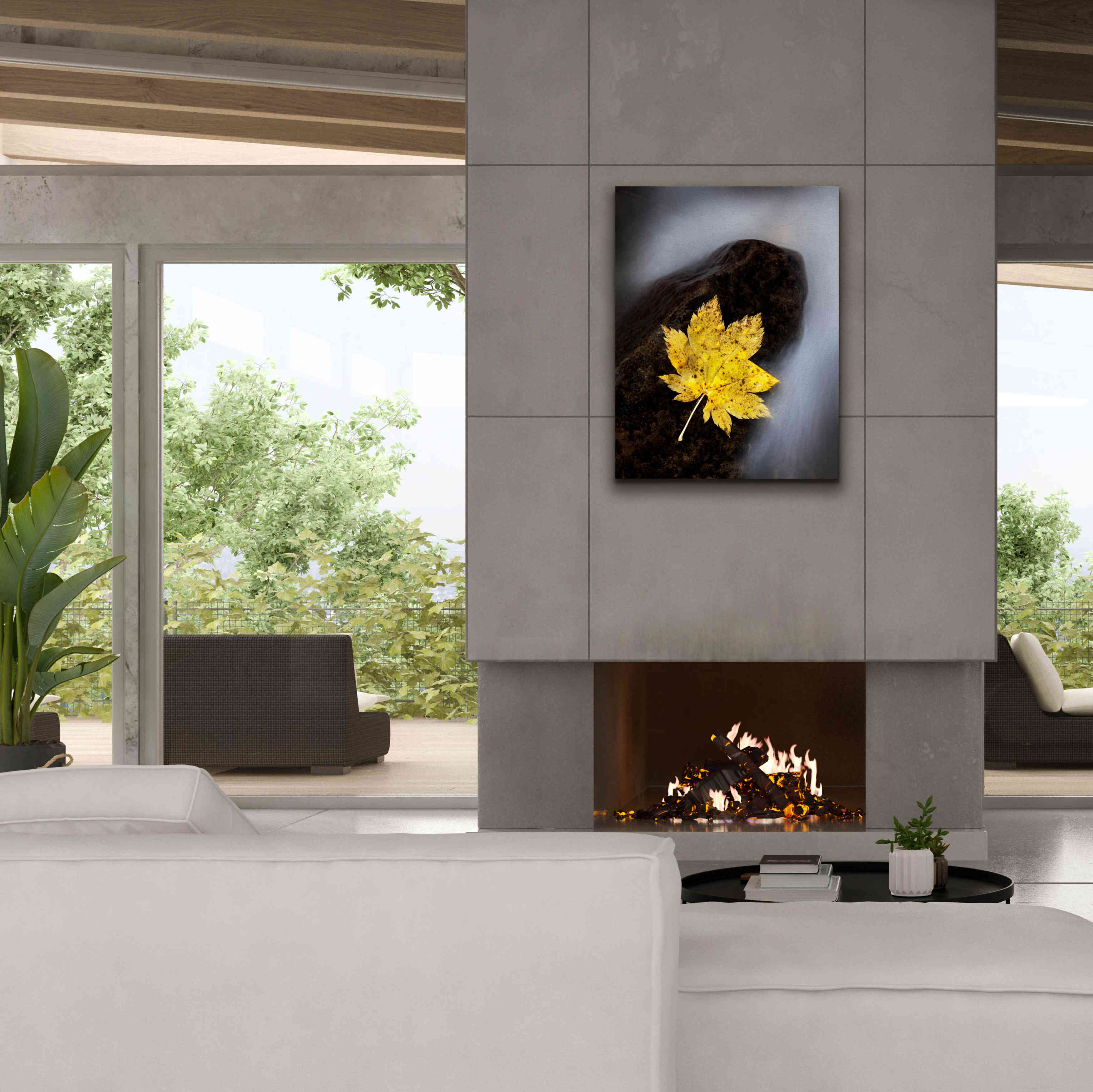 'Maple Leaf Stranded' by Thomas Haney, Giclee Canvas Wall Art,26 x 34