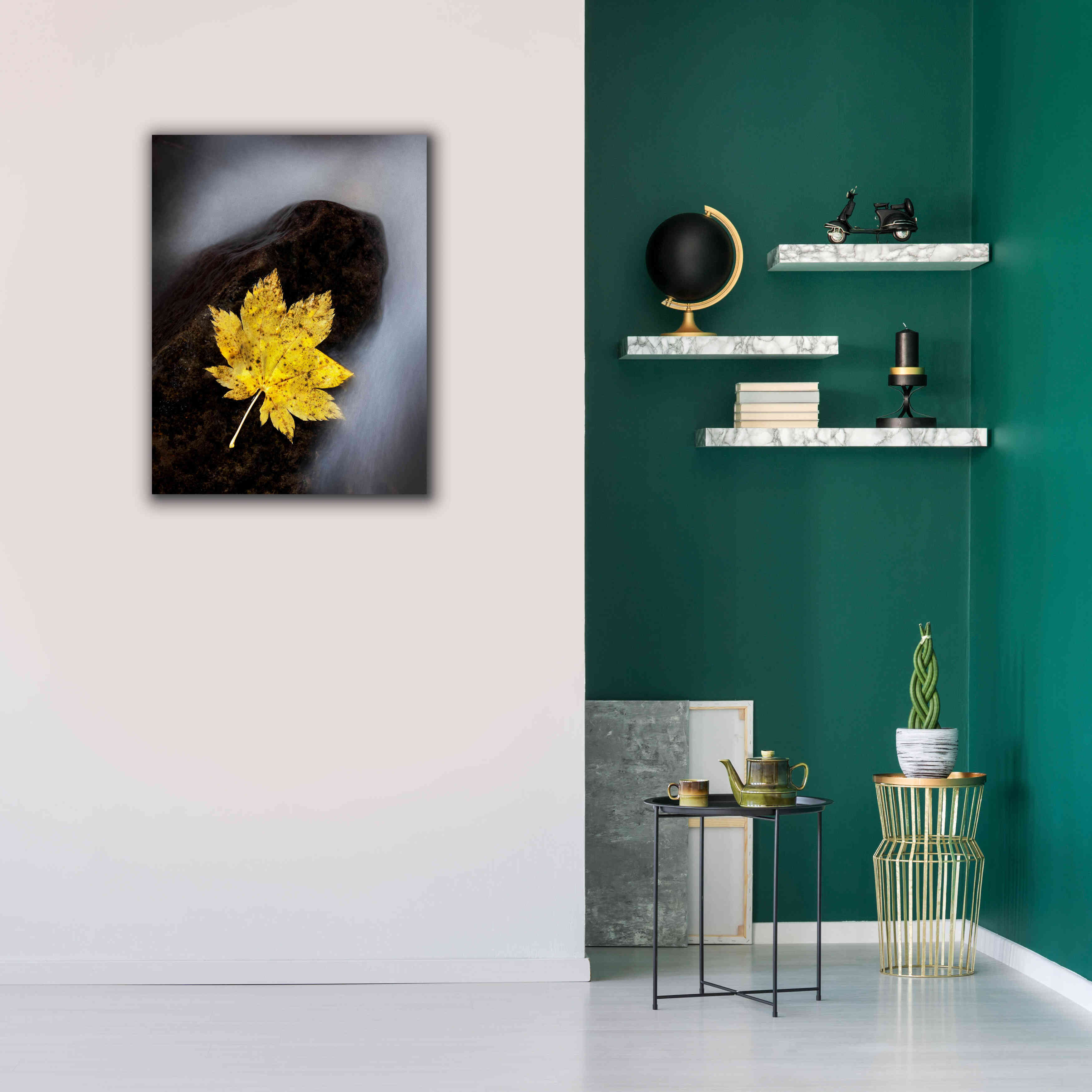 'Maple Leaf Stranded' by Thomas Haney, Giclee Canvas Wall Art,26 x 34