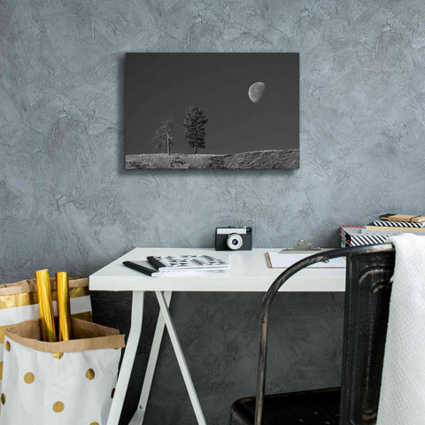 Image of 'Moon Trees Hill' by Thomas Haney, Giclee Canvas Wall Art,18 x 12