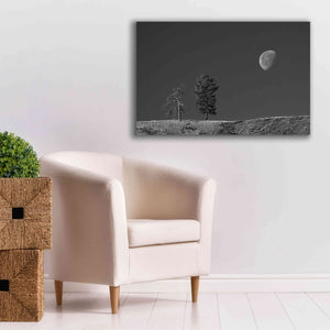 'Moon Trees Hill' by Thomas Haney, Giclee Canvas Wall Art,40 x 26