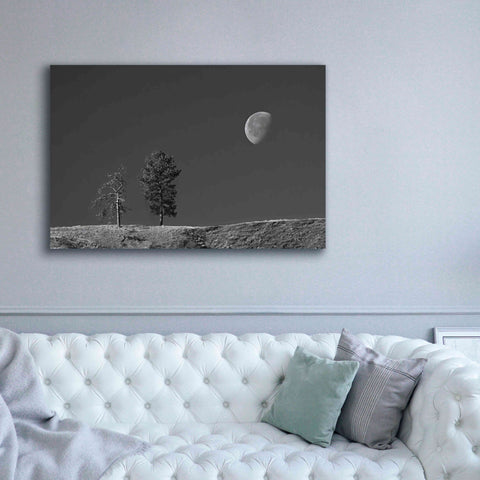 Image of 'Moon Trees Hill' by Thomas Haney, Giclee Canvas Wall Art,60 x 40