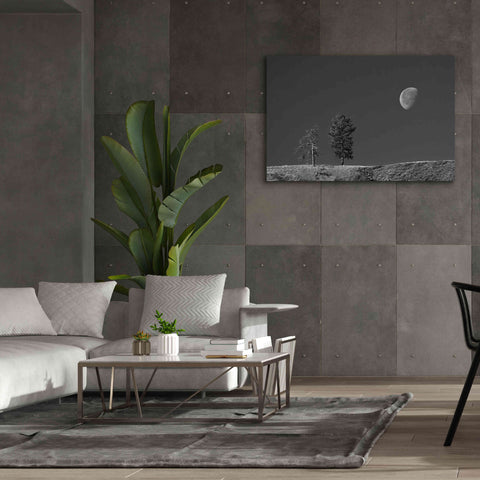Image of 'Moon Trees Hill' by Thomas Haney, Giclee Canvas Wall Art,60 x 40