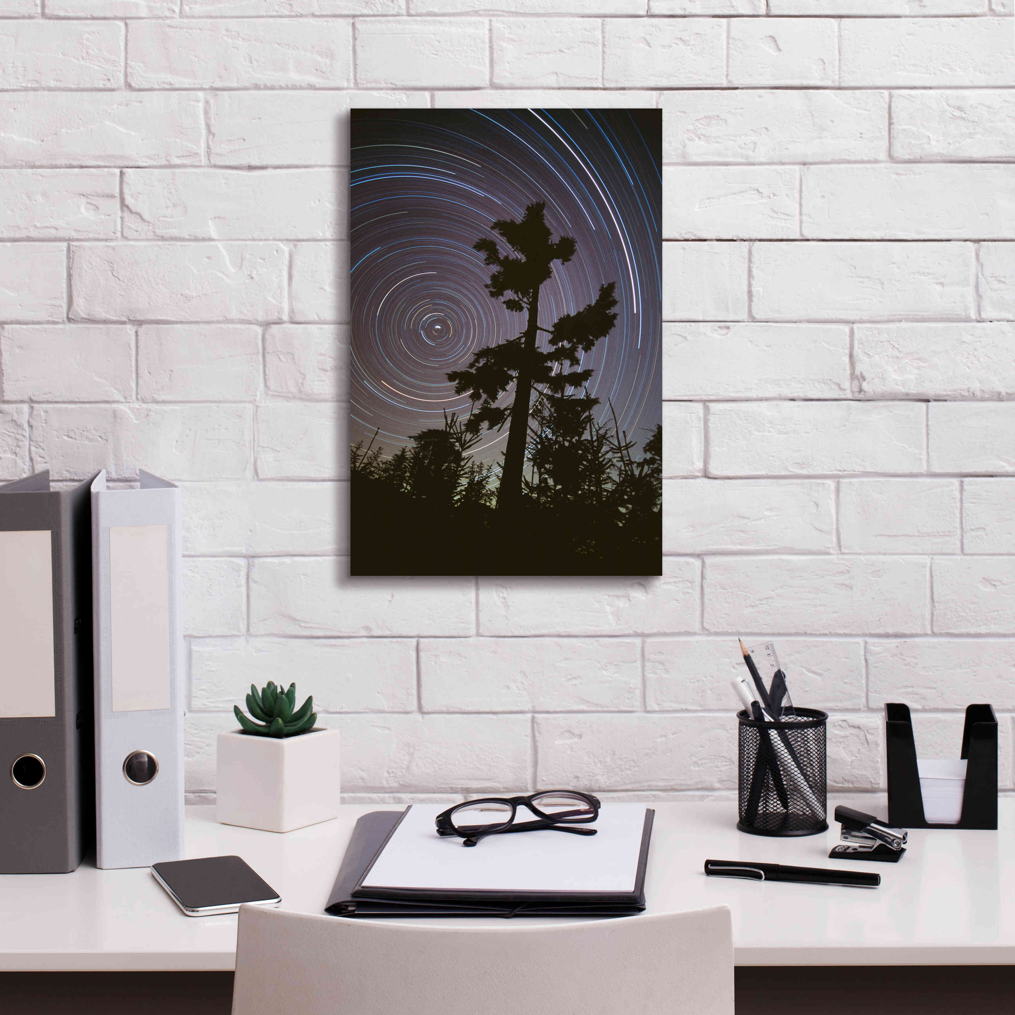 'Polaris Pine' by Thomas Haney, Giclee Canvas Wall Art,12 x 18