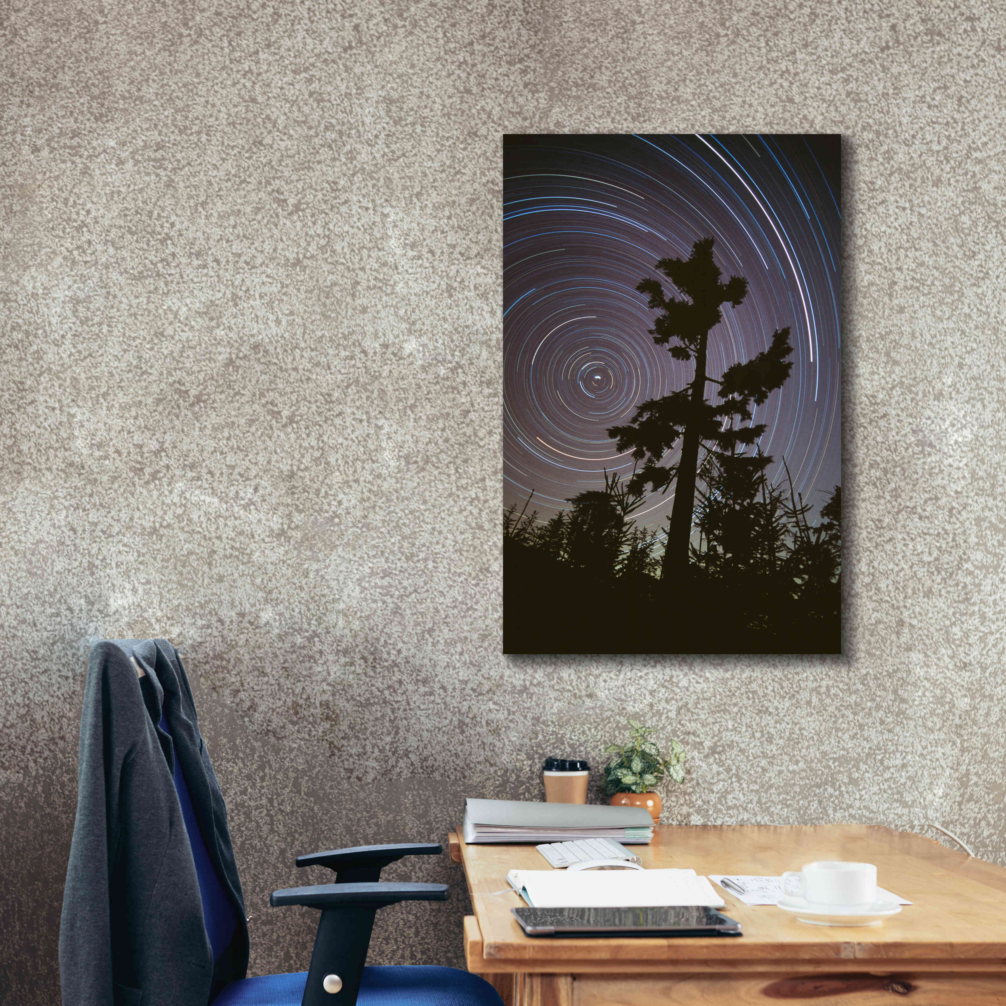 'Polaris Pine' by Thomas Haney, Giclee Canvas Wall Art,26 x 40