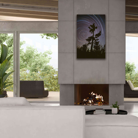 Image of 'Polaris Pine' by Thomas Haney, Giclee Canvas Wall Art,26 x 40