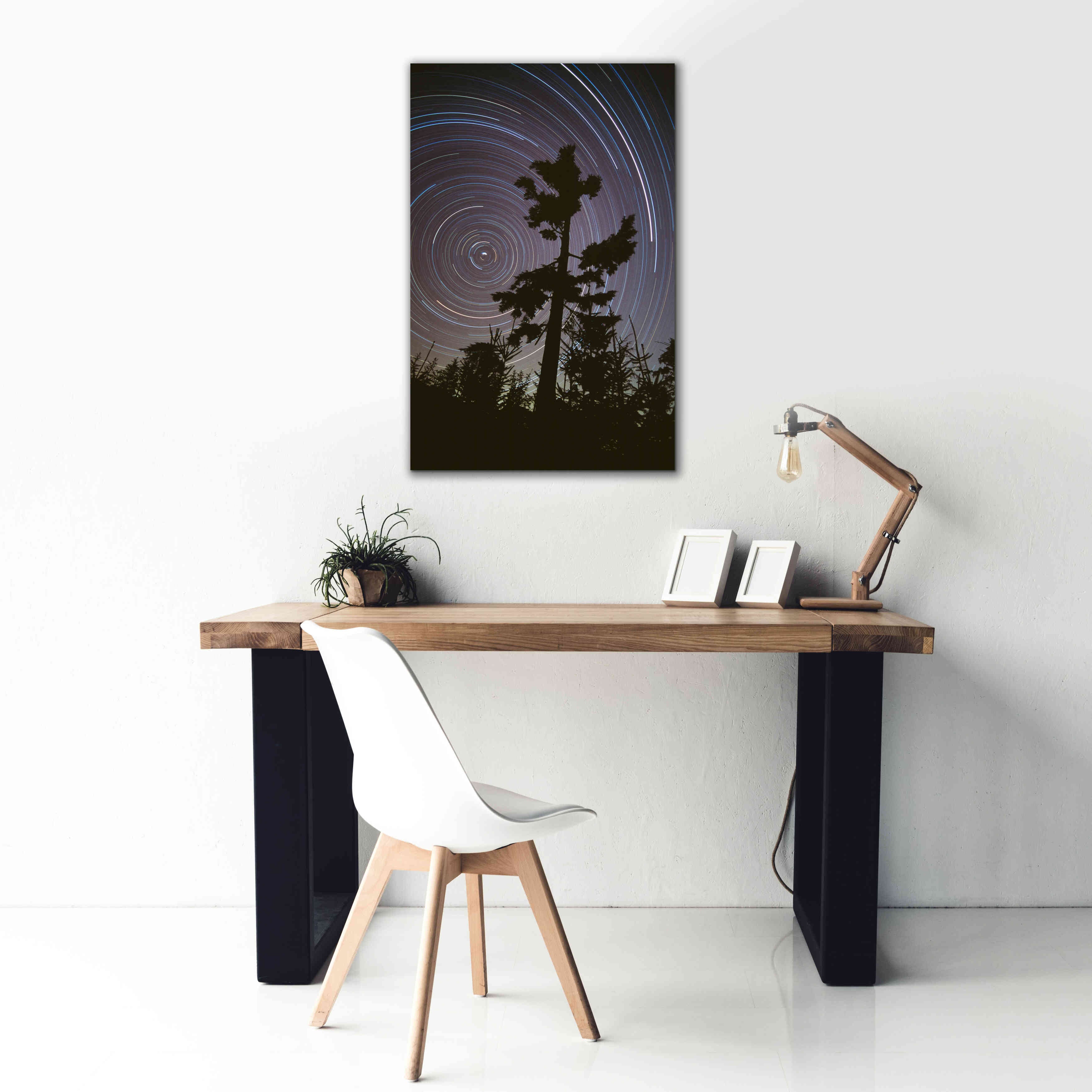 'Polaris Pine' by Thomas Haney, Giclee Canvas Wall Art,26 x 40