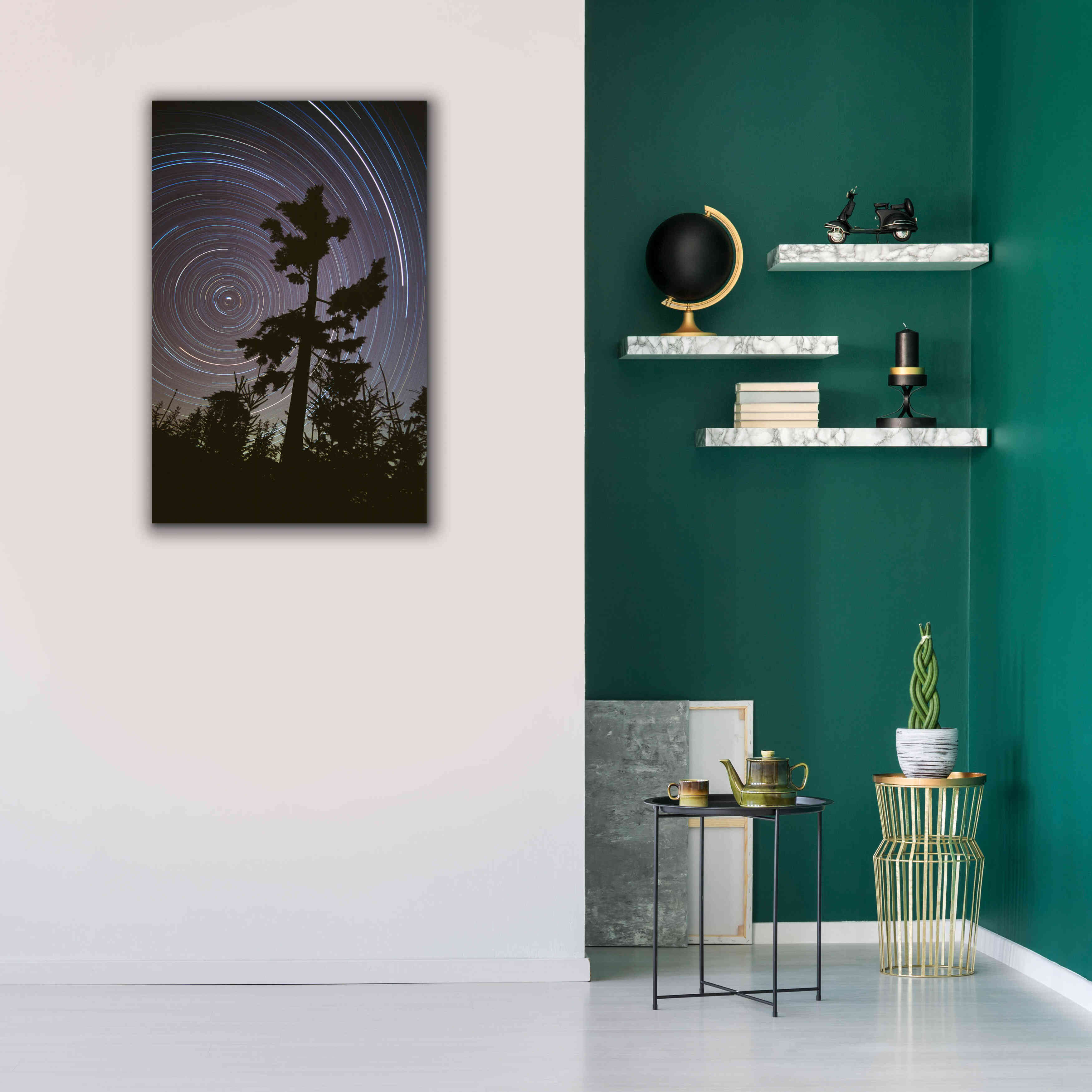 'Polaris Pine' by Thomas Haney, Giclee Canvas Wall Art,26 x 40