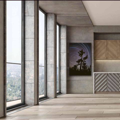 Image of 'Polaris Pine' by Thomas Haney, Giclee Canvas Wall Art,40 x 60