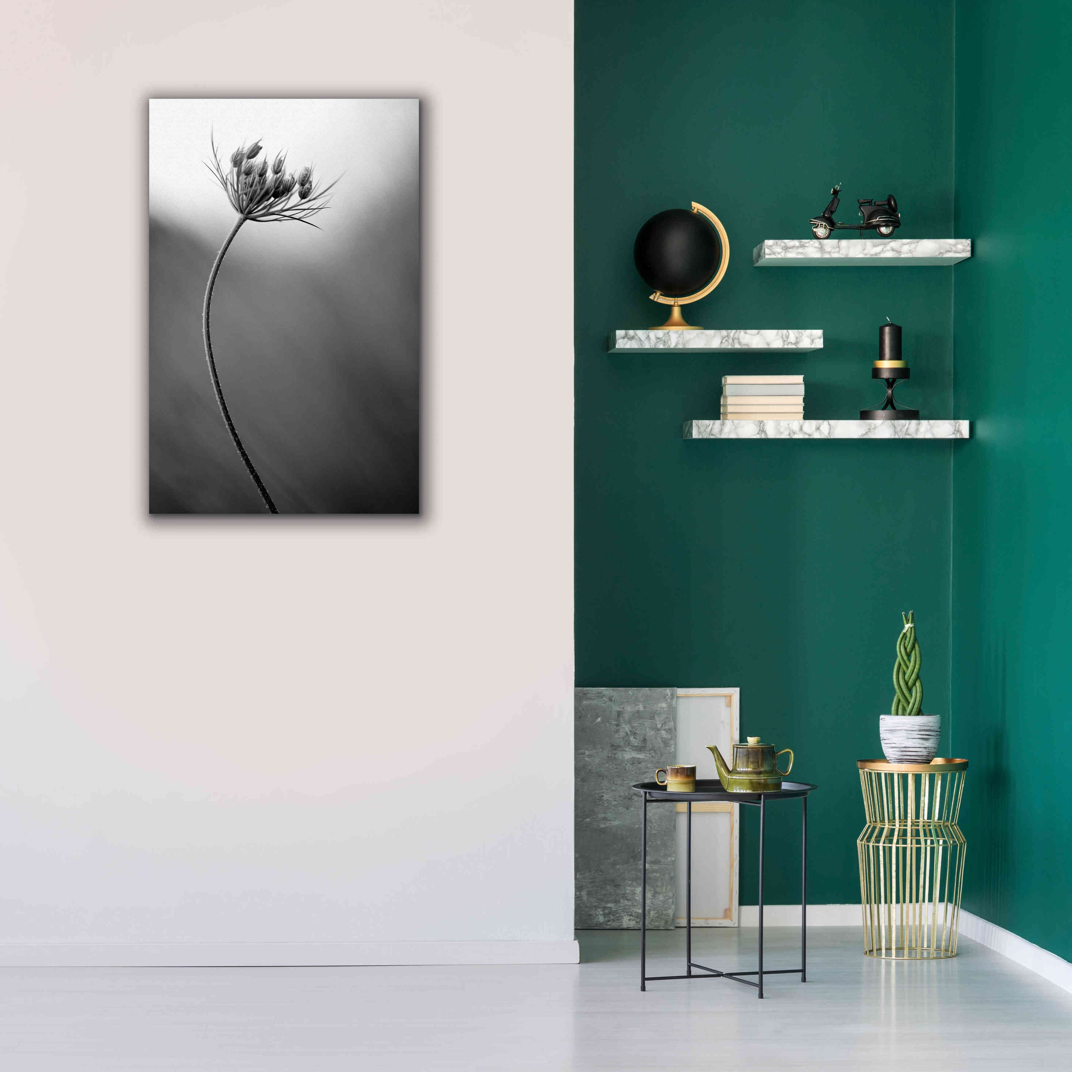 'Queen Anne's B&W' by Thomas Haney, Giclee Canvas Wall Art,26 x 40