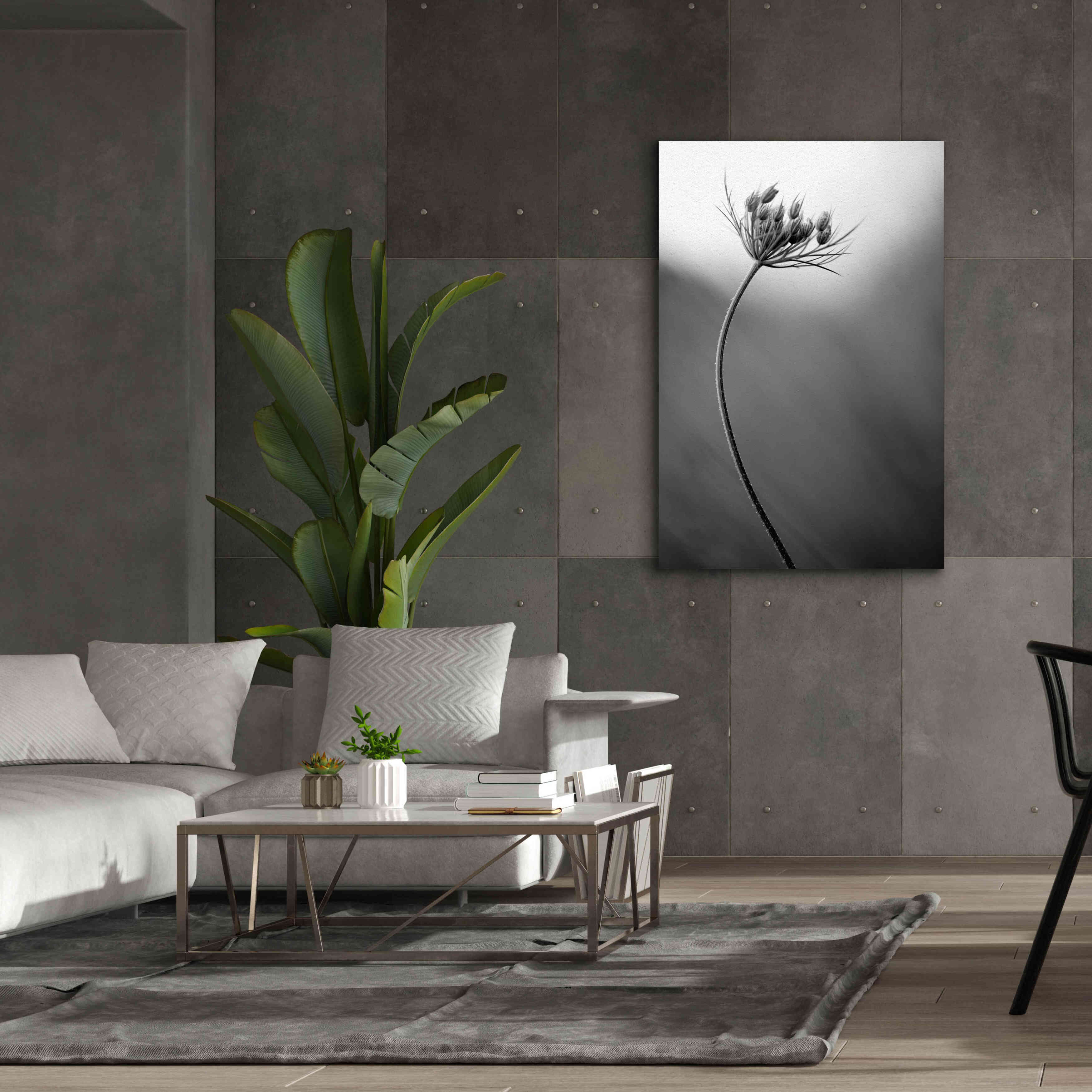 'Queen Anne's B&W' by Thomas Haney, Giclee Canvas Wall Art,40 x 60