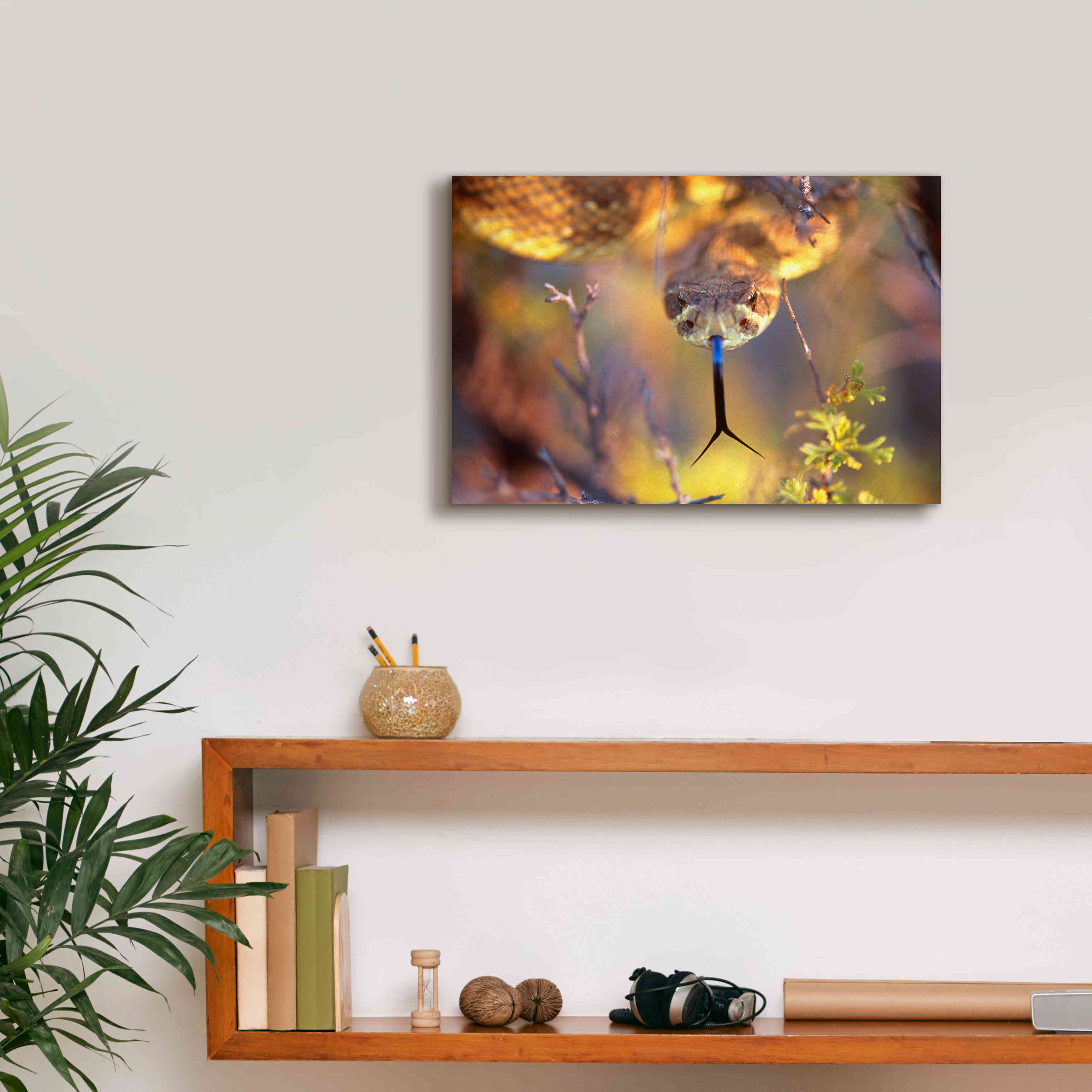 'Rattle' by Thomas Haney, Giclee Canvas Wall Art,18 x 12