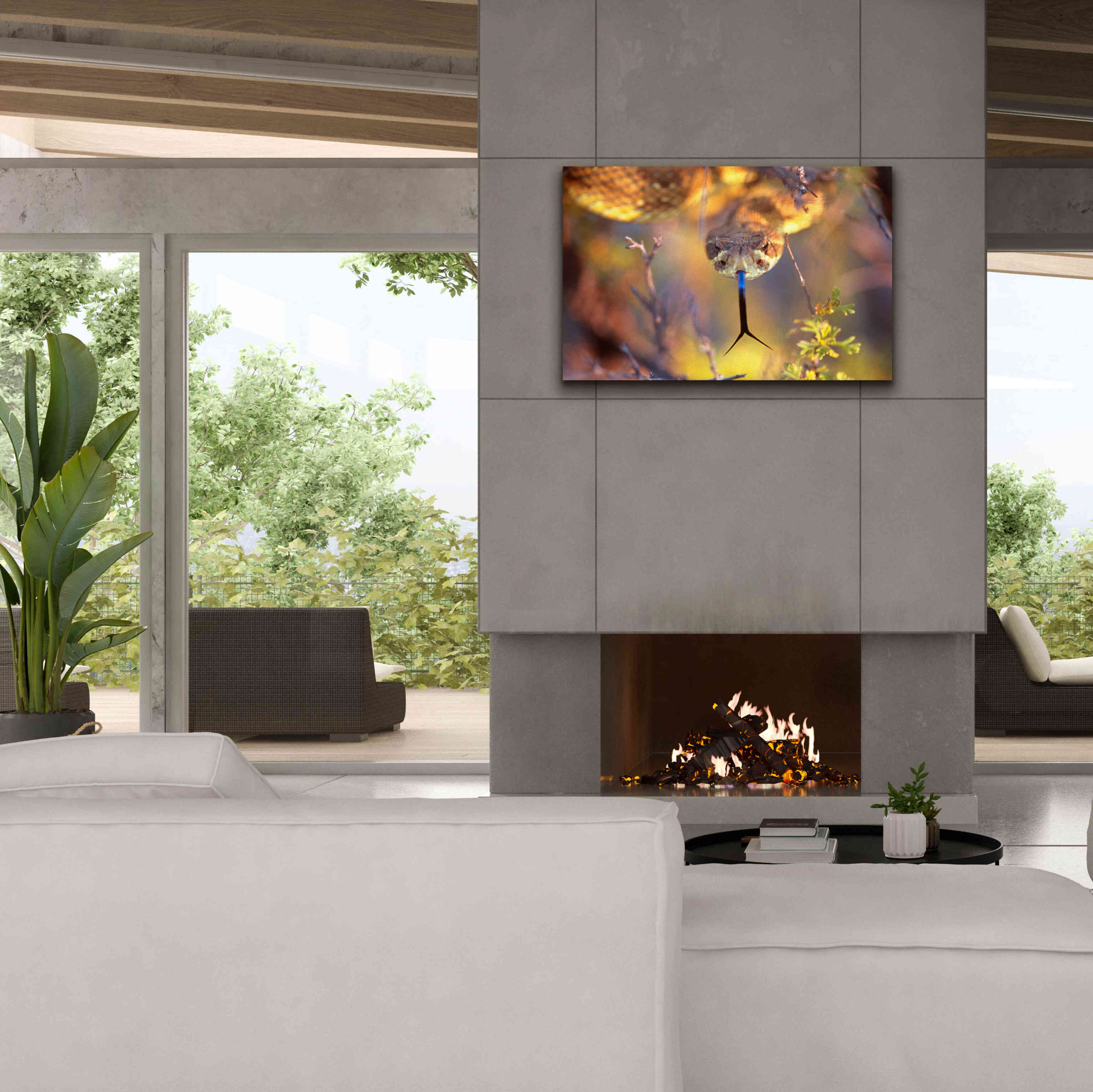 'Rattle' by Thomas Haney, Giclee Canvas Wall Art,40 x 26
