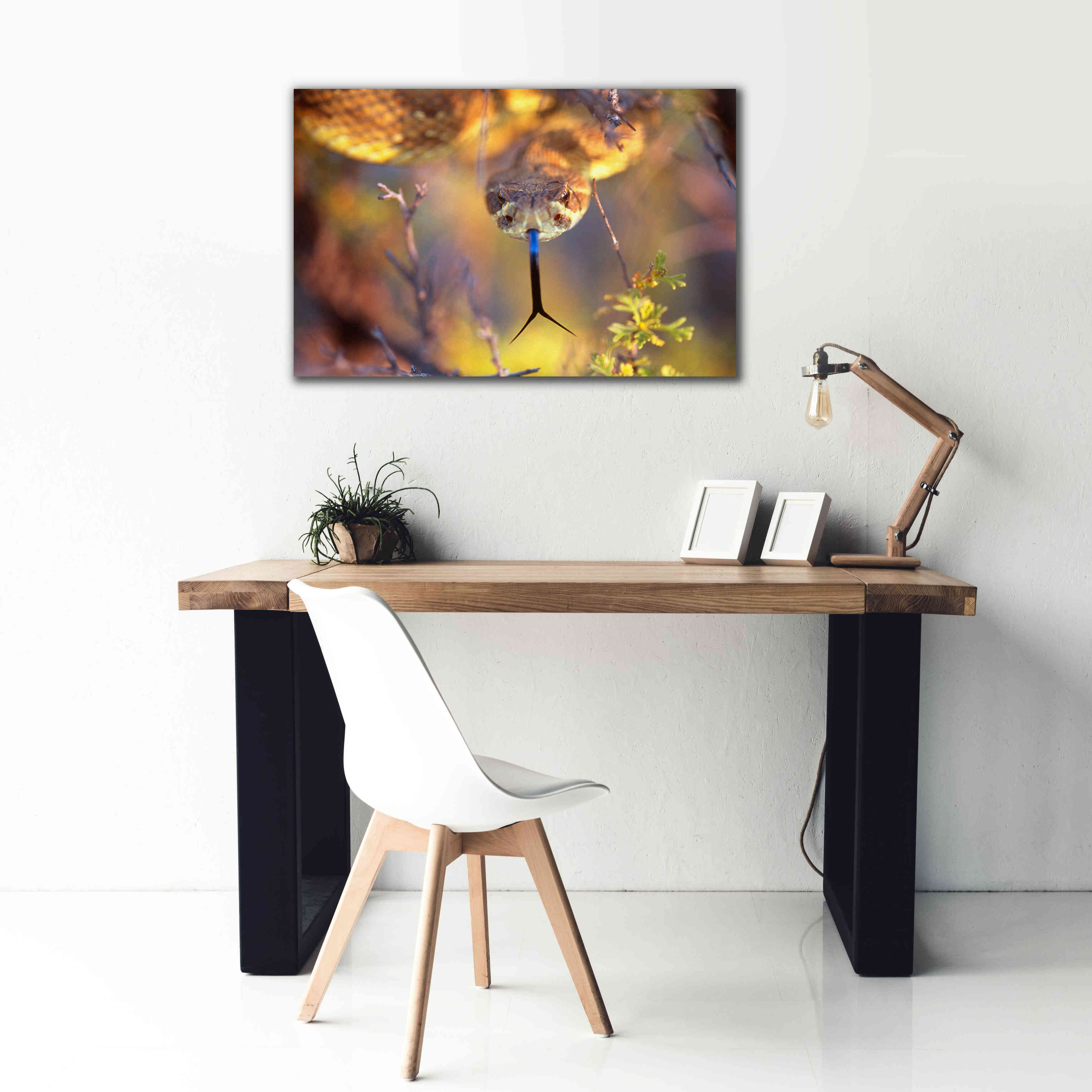 'Rattle' by Thomas Haney, Giclee Canvas Wall Art,40 x 26