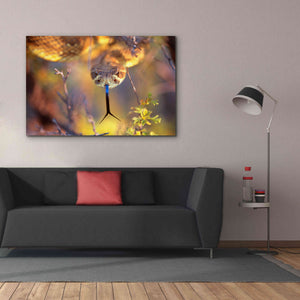 'Rattle' by Thomas Haney, Giclee Canvas Wall Art,60 x 40