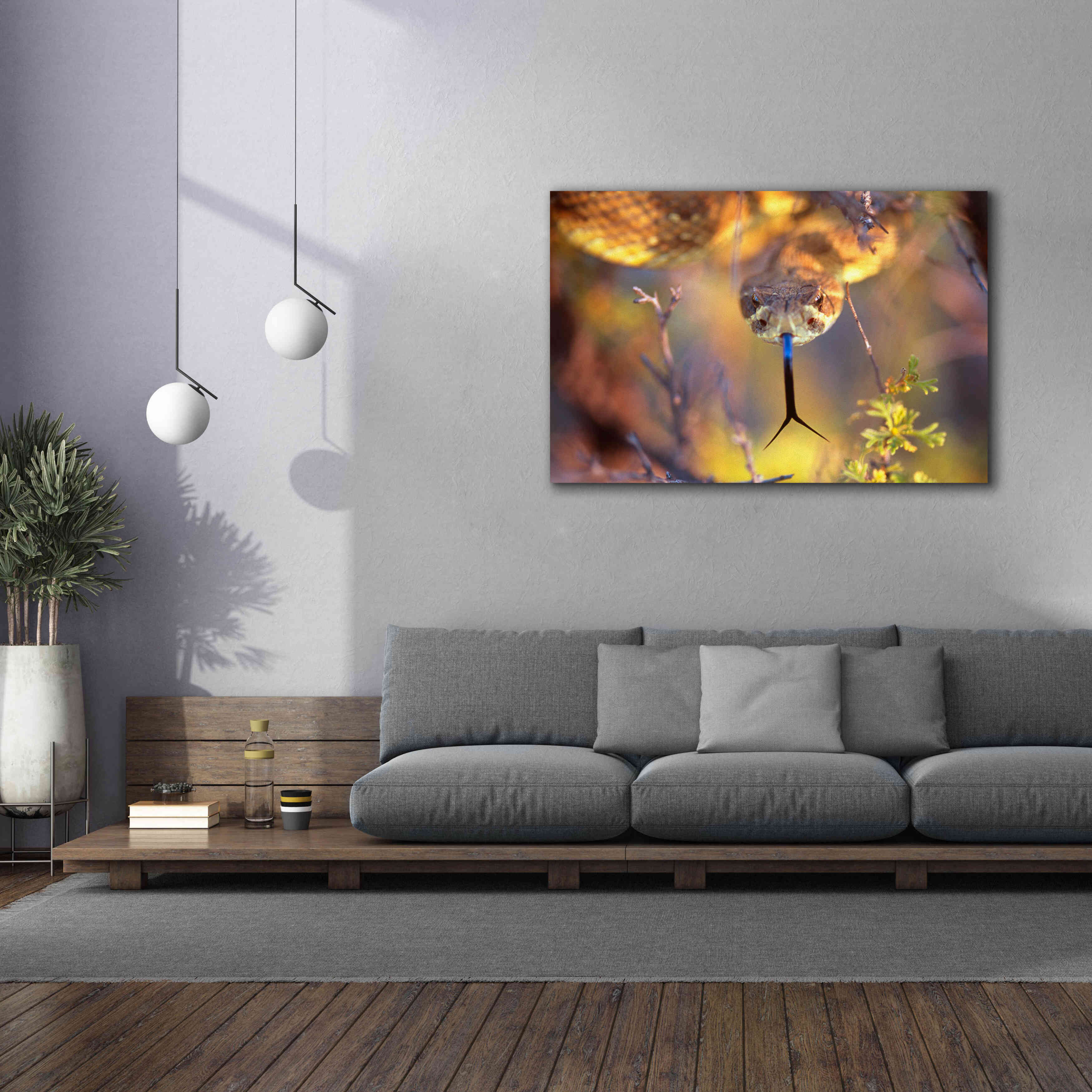'Rattle' by Thomas Haney, Giclee Canvas Wall Art,60 x 40