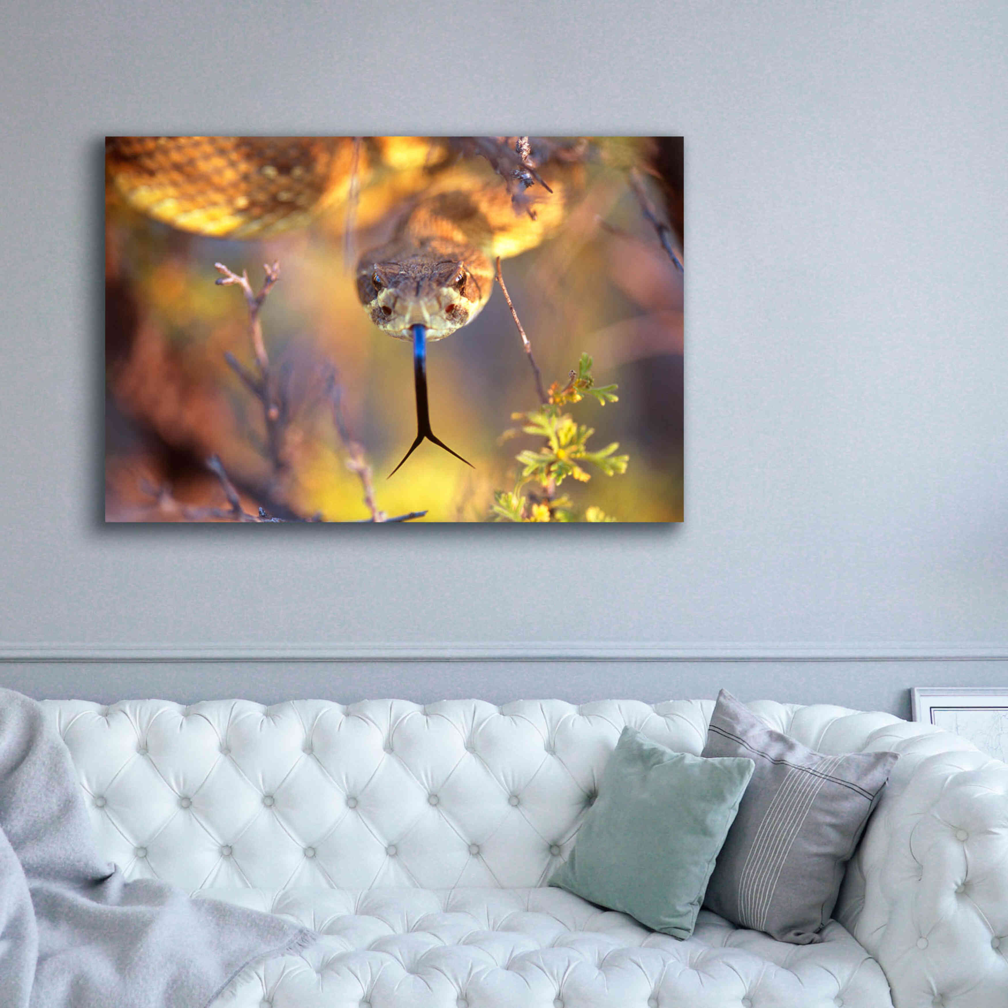 'Rattle' by Thomas Haney, Giclee Canvas Wall Art,60 x 40