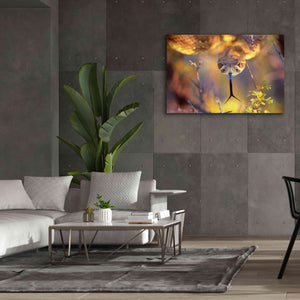 'Rattle' by Thomas Haney, Giclee Canvas Wall Art,60 x 40