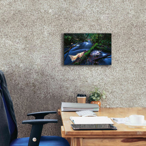 'Salmon Trapped' by Thomas Haney, Giclee Canvas Wall Art,18 x 12