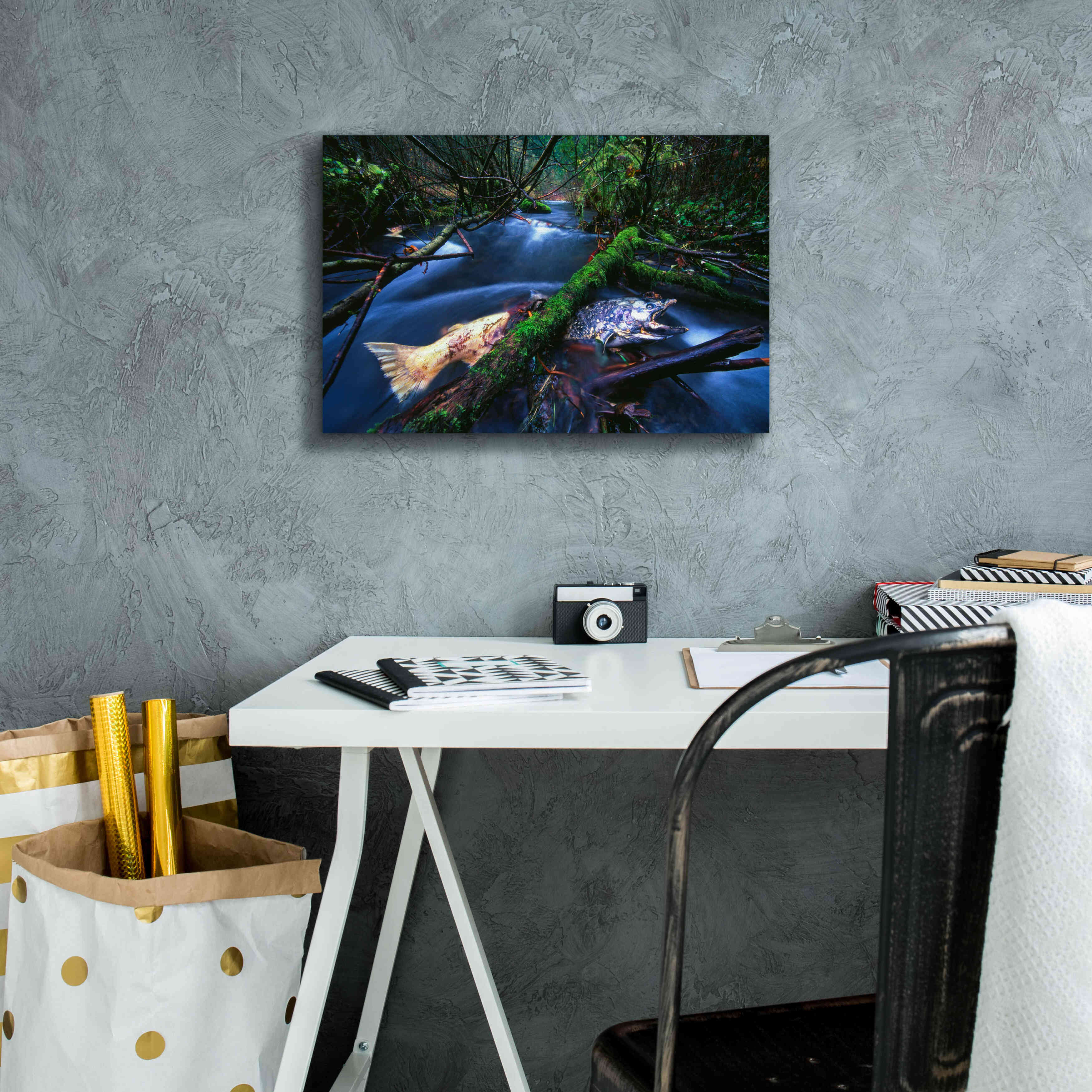 'Salmon Trapped' by Thomas Haney, Giclee Canvas Wall Art,18 x 12