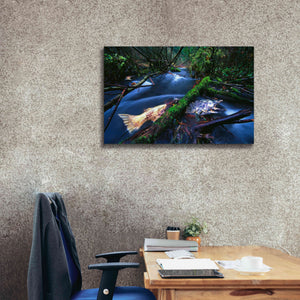 'Salmon Trapped' by Thomas Haney, Giclee Canvas Wall Art,40 x 26