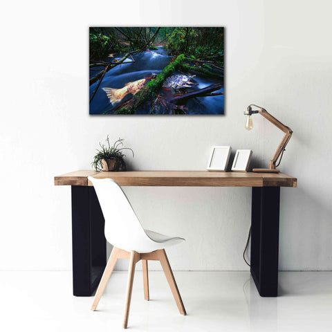 Image of 'Salmon Trapped' by Thomas Haney, Giclee Canvas Wall Art,40 x 26