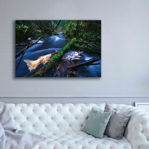 Image of 'Salmon Trapped' by Thomas Haney, Giclee Canvas Wall Art,60 x 40