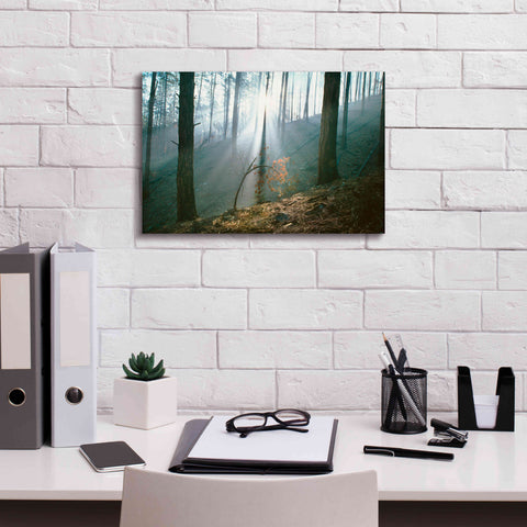 Image of 'Smoke Forest' by Thomas Haney, Giclee Canvas Wall Art,18 x 12