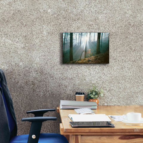 Image of 'Smoke Forest' by Thomas Haney, Giclee Canvas Wall Art,18 x 12
