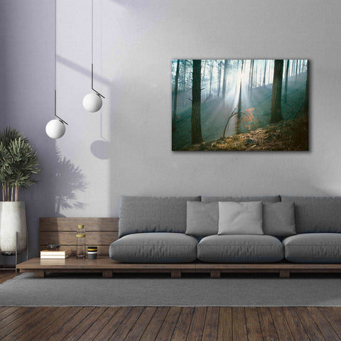 Image of 'Smoke Forest' by Thomas Haney, Giclee Canvas Wall Art,60 x 40