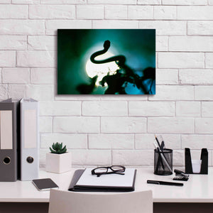 'Snake Sun' by Thomas Haney, Giclee Canvas Wall Art,18 x 12
