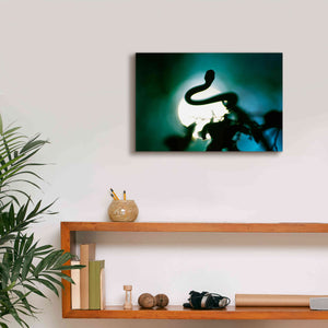 'Snake Sun' by Thomas Haney, Giclee Canvas Wall Art,18 x 12