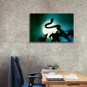 'Snake Sun' by Thomas Haney, Giclee Canvas Wall Art,40 x 26