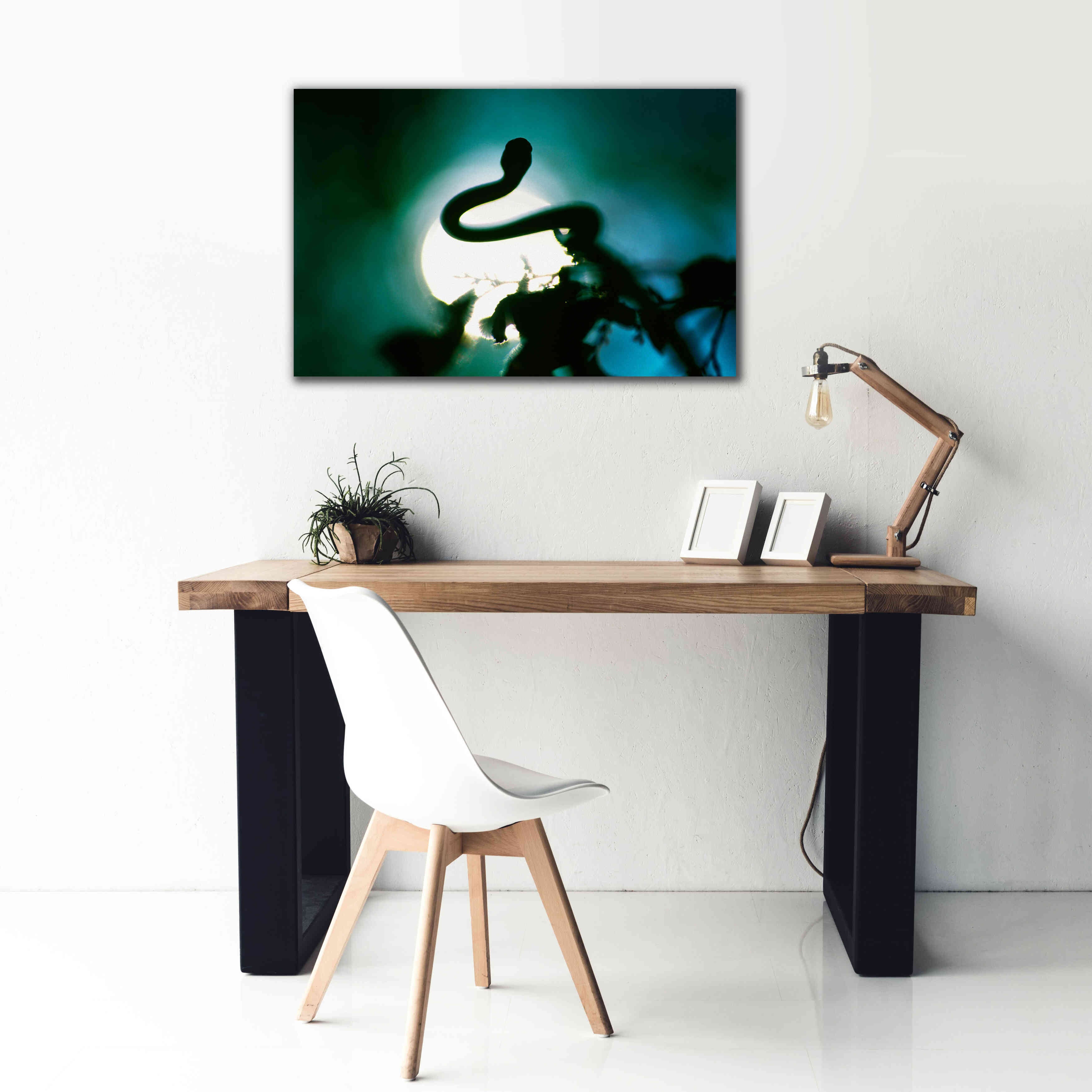 'Snake Sun' by Thomas Haney, Giclee Canvas Wall Art,40 x 26