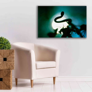 'Snake Sun' by Thomas Haney, Giclee Canvas Wall Art,40 x 26