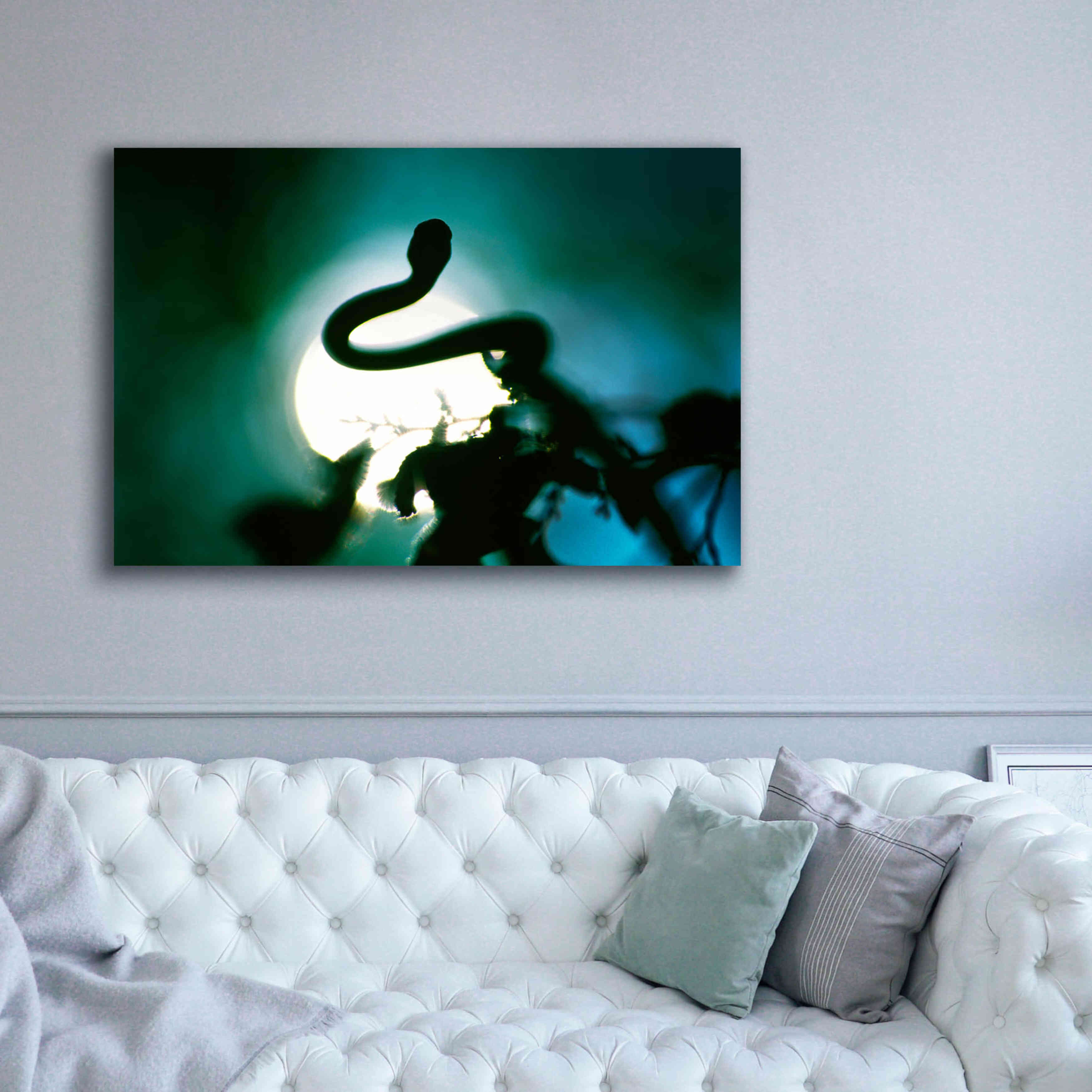 'Snake Sun' by Thomas Haney, Giclee Canvas Wall Art,60 x 40