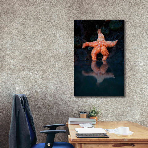 Image of 'Starfish Reflection 2' by Thomas Haney, Giclee Canvas Wall Art,26 x 40