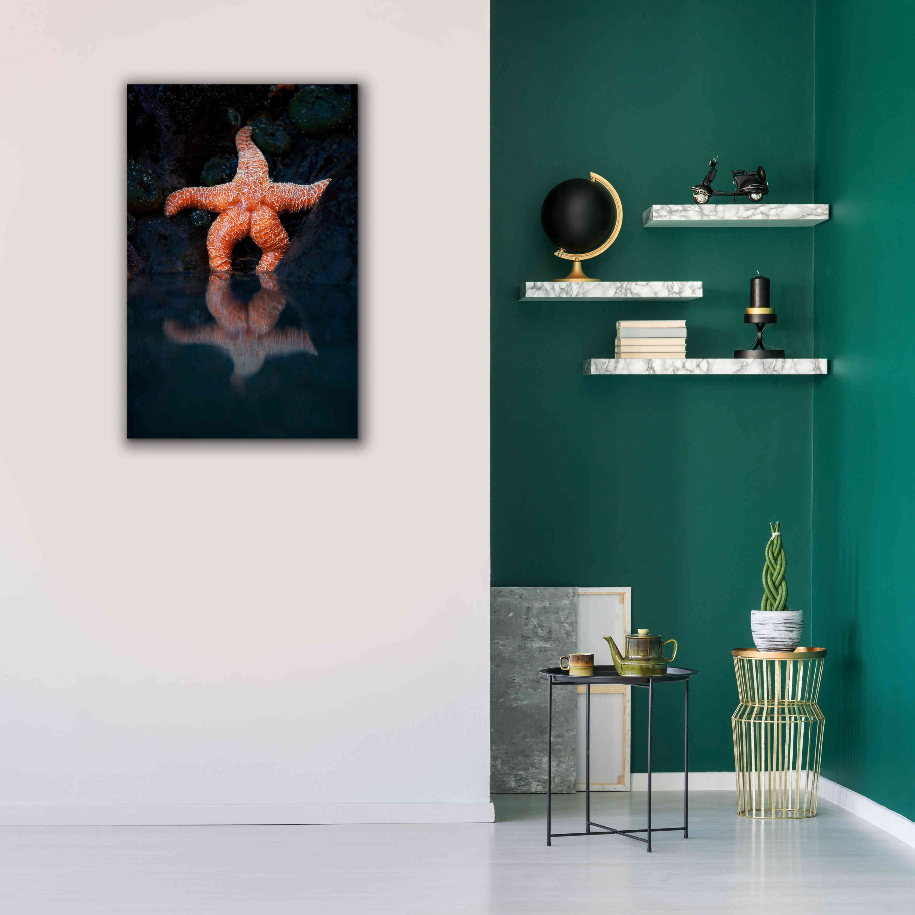 'Starfish Reflection 2' by Thomas Haney, Giclee Canvas Wall Art,26 x 40