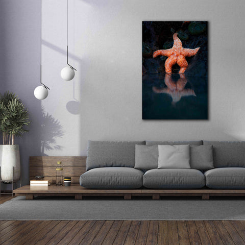 Image of 'Starfish Reflection 2' by Thomas Haney, Giclee Canvas Wall Art,40 x 60