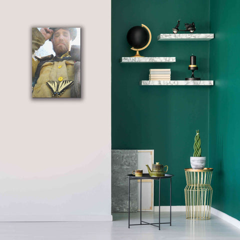 Image of 'Swallow tail' by Thomas Haney, Giclee Canvas Wall Art,18 x 26